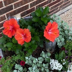 Meet your Posher, Ryann